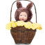 Кукла 'Младенец-белочка в корзине', 15 см, Anne Geddes [564676] - 16181.jpg