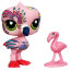 Зверюшка с открыткой -  Фламинго, Littlest Pet Shop Postcard [94716] - 94716 Postcard Pets Flamingo1.jpg