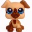 Одиночная зверюшка 2010 - Боксёр, Littlest Pet Shop, Hasbro [94937] - 1516.jpg