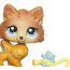 Одиночная зверюшка 2010 - Шпиц, специальный эксклюзивный выпуск, Littlest Pet Shop, Hasbro [94584] - 1599a.jpg