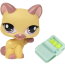 Одиночная зверюшка 2010 - Кошка, Littlest Pet Shop, Hasbro [94932] - 1468a.jpg