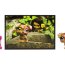 Зверюшка с открыткой - Терьер, Littlest Pet Shop Postcard [94792] - LPS Postcard Pets 2010 - Jack Russell Terrier.jpg