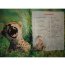 Книга 'Большие кошки', из серии 'Детская энциклопедия', Росмэн [05755-0] - 05755-0a2.jpg