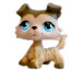 Одиночная зверюшка - Колли, специальная серия, Littlest Pet Shop, Hasbro [91480] - 91480q.jpg