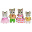 Игровой набор 'Семья Полосатых Кошек' (Striped Cat Family), Sylvanian Families [5180] - 5180q.jpg