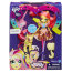 Набор куклы и пони Fluttershy, My Little Pony Equestria Girls (Девушки Эквестрии), Hasbro [A9886] - A9886-1.jpg