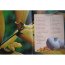Книга 'Змеи', из серии 'Детская энциклопедия', Росмэн [05765-9] - 05765-9a.jpg