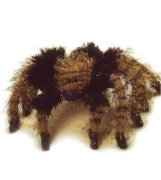 Мягкая игрушка 'Паук-птицеед Aphonopelma chalcodes', 24 см, National Geographic [1506259p]
