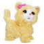 Интерактивная игрушка 'Моя скачущая кошечка' (My Bouncin' Kitty), из серии Happy-to-See-Mee pets, FurReal Friends, Hasbro [A5718] - A5718.jpg
