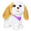 Интерактивная игрушка 'Мой скачущий щенок' (My Bouncin' Pup), из серии Happy-to-See-Mee pets, FurReal Friends, Hasbro [A5719] - A5719.jpg
