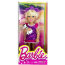 Кукла 'Челси с зеброй' (Chelsie), Barbie, Mattel [BDG33] - BDG33-1.jpg