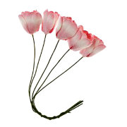 Букет 'Тюльпаны бело-розовые', 5+5 шт., 1:6, ScrapBerry's [SCB290901]