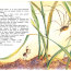 Книга детская 'Как муравьишка домой спешил', серия 'Детская библиотека', Росмэн [07762-6] - Книга детская 'Как муравьишка домой спешил', серия 'Детская библиотека', Росмэн [07762-6]
