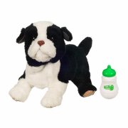 Интерактивная игрушка 'Новорожденный щенок бордер колли', FurReal Friends, Hasbro [94365]