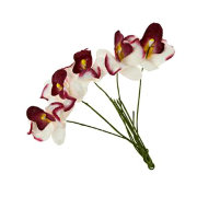 Букет 'Орхидеи бело-бордовые', 9+1 шт., 1:6, ScrapBerry's [SCB290502]