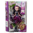 * Кукла Raven Queen, из серии Rebel, Ever After High (Школа 'Долго и Счастливо'), Mattel [BBD42] - BBD42-1.jpg