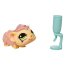 Одиночная зверюшка 2010 - Морская Свинка, Littlest Pet Shop, Hasbro [94930] - 94930.jpg