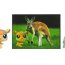 Зверюшка с открыткой -  Кенгуру, Littlest Pet Shop Postcard [94715] - 94715 Postcard Pets Kangaroo 2.jpg