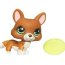 Одиночная зверюшка - Корги, специальная серия, Littlest Pet Shop, Hasbro [91484] - 91484.jpg