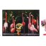 Зверюшка с открыткой -  Фламинго, Littlest Pet Shop Postcard [94716] - 94716 Postcard Pets Flamingo2.jpg