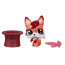 Игрушка 'Петшоп из мешка - лисёнок в шляпе', серия 3/14, Littlest Pet Shop, Hasbro [A8240-3714] - A8240-3714a.jpg