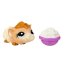 Одиночная зверюшка 2011 - Морская Свинка, Littlest Pet Shop, Hasbro [26590] - 2062a.jpg