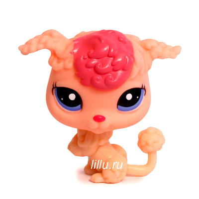 Игрушка 'Петшоп из мешка - Пудель', серия 4, Littlest Pet Shop, Hasbro [32684-2177] Игрушка 'Петшоп из мешка - Пудель', серия 4, Littlest Pet Shop, Hasbro [32684-2177]