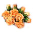 Букет 'Розы и бутоны, абрикосовые', 9+1 шт., 1:6, ScrapBerry's [SCB401005-05] - SCB401005-05.jpg