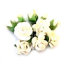 Букет 'Розы и бутоны, белые', 9+1 шт., 1:6, ScrapBerry's [SCB401005-06] - SCB401005-06.jpg