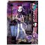 Кукла 'Катрин ДеМяу' (Catrine DeMew), эксклюзивная, из серии 'Скариж - город страхов', Monster High Mattel [Y7295] - Y7295-2.jpg