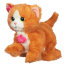 Интерактивная игрушка 'Игривый котёнок Дэйзи', FurReal Friends, Hasbro [A2003] - A2003-1.jpg