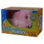 * Подарочный набор со щенком Zhu Zhu Puppies, Cepia [ZhuZhuPuppies] - ZhuZhuPuppies1b1.jpg