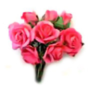 Букет 'Розы и бутоны, розовые', 9+1 шт., 1:6, ScrapBerry's [SCB401005-08]