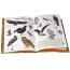 Книга 'Птицы', из серии 'Лучшая энциклопедия в картинках для малышей', Росмэн [06694-1] - 22082-21.jpg