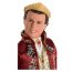 Кукла Кен 'Король Доминик' (King Dominick), из серии 'The Princess and Pauper', Barbie, Mattel [C5774] - C5774-1.jpg