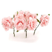 Букет 'Розы кудрявые, розовые', 8 шт., 1:3, ScrapBerry's [SCB280608]