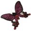 Мягкая игрушка 'Бабочка Atrophaneura Polyeuctes', 19 см, National Geographic [1503913ap] - papillon_polyeud.jpg