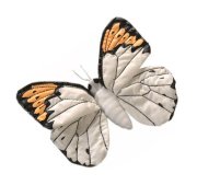 Мягкая игрушка 'Бабочка Meganostoma Eurydice', 19 см, National Geographic [1503913me]