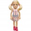 Кукла из серии 'Клуб Челси', Barbie, Mattel [GXT38] - Кукла из серии 'Клуб Челси', Barbie, Mattel [GXT38]