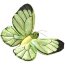 Мягкая игрушка 'Бабочка Phoebis Trite', 19 см, National Geographic [1503913ph] - papillon_phoebus_zoom[1].jpg
