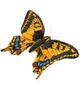 Мягкая игрушка 'Бабочка Махаон', 19 см, National Geographic [1503913pm]