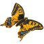 Мягкая игрушка 'Бабочка Махаон', 19 см, National Geographic [1503913pm] - papillon_machaon_zoom[1].jpg