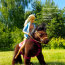 Набор одежды для Барби, из серии 'Мода', Barbie [DMF55] - Набор одежды для Барби, из серии 'Мода', Barbie [DMF55]
