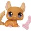 Одиночная зверюшка - Шиншилла, специальная серия, Littlest Pet Shop, Hasbro [68709] - 68709a.JPG