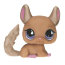 Одиночная зверюшка - Шиншилла, специальная серия, Littlest Pet Shop, Hasbro [68709] - 68709c.jpg