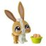 Одиночная зверюшка - Заяц, Littlest Pet Shop [50137] - AAAAApaPPnYAAAAAAAbzoA.jpg