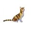 3D-пазл 'Кошка рыжая', из серии 'Кошки и собаки', 'Пирамида Открытий' [8385r] - 8385 cat.jpg