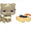 Коллекционные зверюшки - Котёнок-гурман, Littlest Pet Shop [91844] - 91844  973a.jpg