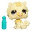 Одиночная зверюшка - Чау-чау, специальная серия, Littlest Pet Shop, Hasbro [93685] - 93685.jpg