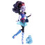 Кукла 'Джейн Булитл' (Jane Boolittle), серия с питомцем, 'Школа Монстров' Monster High, Mattel [BJF62/BLW02] - BJF62-2.jpg